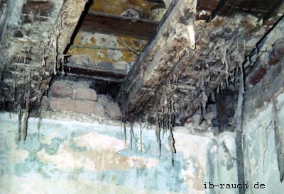 Myzelbewuchs real dry rot at the blanket-beams and the wood-tabs.