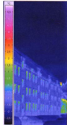 Thermografieaufnahme der gedämmten Fassade