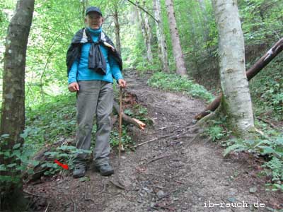 Sicherheitsschuhe ideal zum Wandern