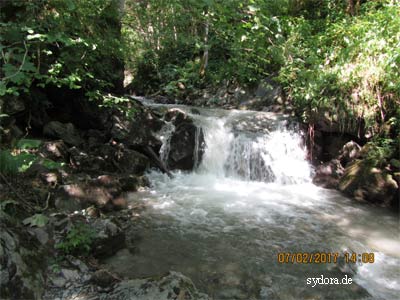 Bergbach im Bilytal