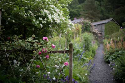 Garten mit Blumen