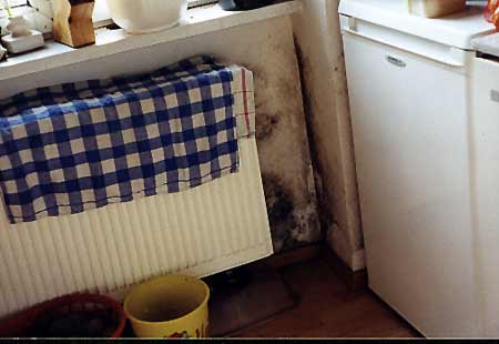 Mould in an apartment in Erfurt