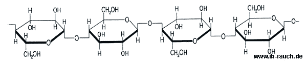 Ketten der Makromoleküle von Zellulose